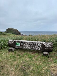 写真2
