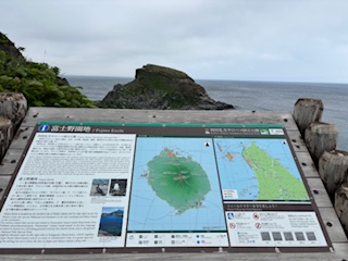写真7