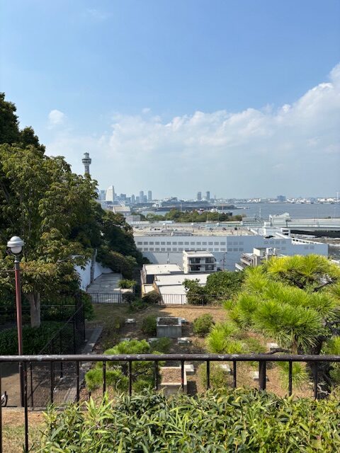 写真6